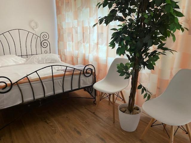 Suzana Garden Venus Exterior foto